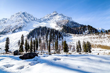 Jammu-Srinagar-Sonmarg-Pahalgam-Gulmarg Tour